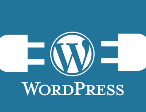 How to Install WordPress in Xampp (Bangla)